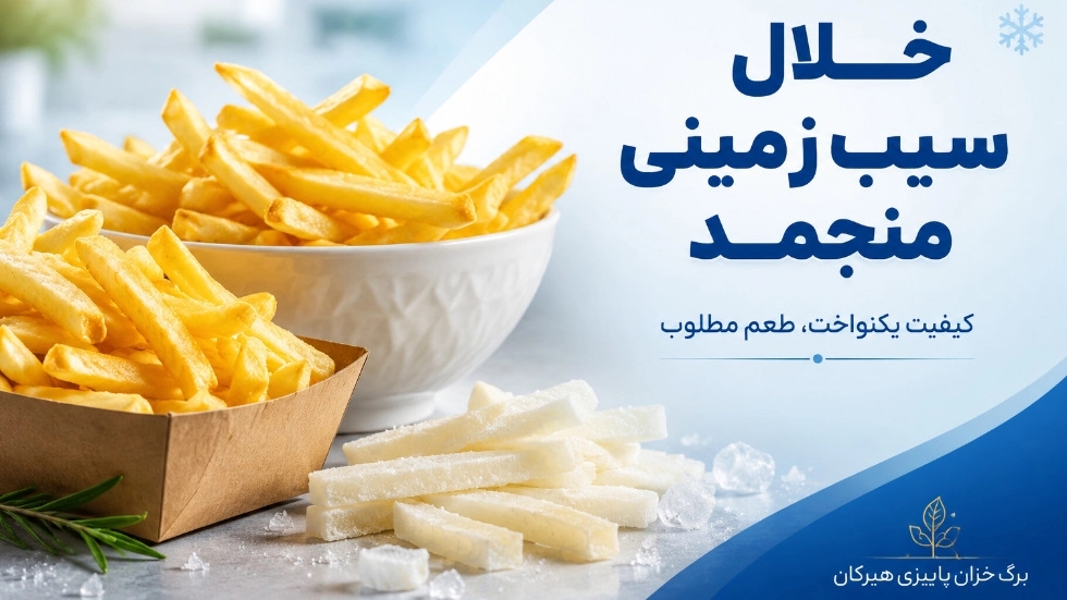 خلال سیب‌ زمینی منجمد و نیمه‌ آماده با کیفیت مطلوب