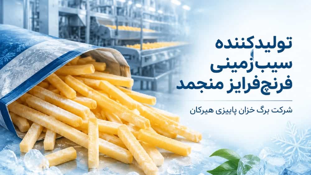تولیدکننده سیب زمینی فرنچ فرایز منجمد