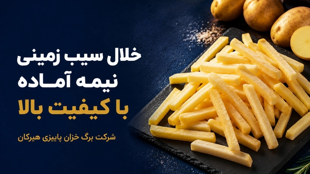 خلال سیب زمینی نیمه آماده با کیفیت بالا برای بازار داخلی و صادرات خلال سیب زمینی نیمه آماده با کیفیت بالا برای بازار داخلی و صادرات